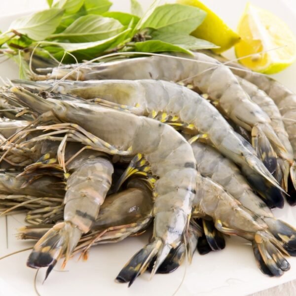 Fresh Prawns-1lb